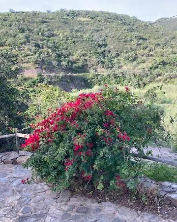 Quinta Cornelia - Casas Novas * Santa Catarina da Fonte do Bispo