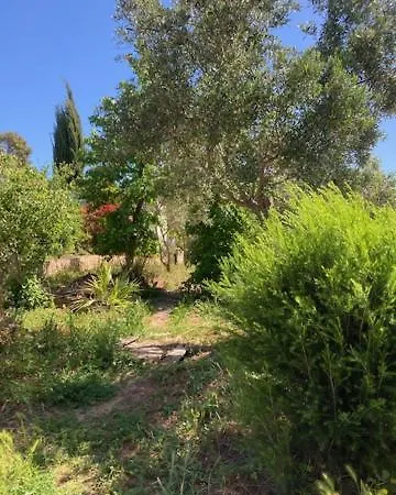 Quinta Cornelia - Casas Novas * Santa Catarina da Fonte do Bispo