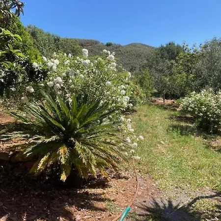 Lodge Quinta Cornelia - Casas Novas